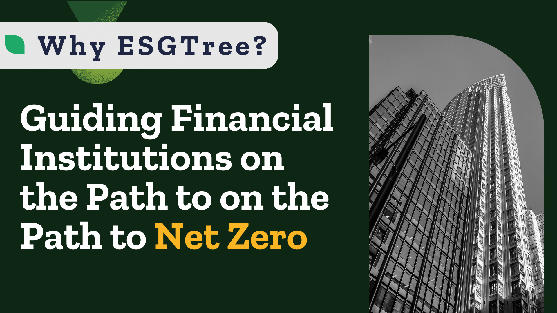 Guiding Financial  Institutions on the Path to Net Zero